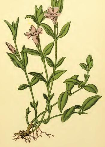 Lam.VTax2290.Lam11