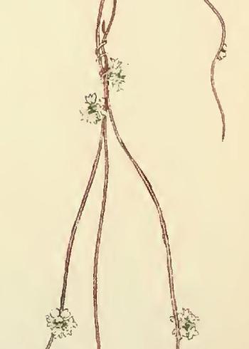 Lam.VTax2313.Lam5
