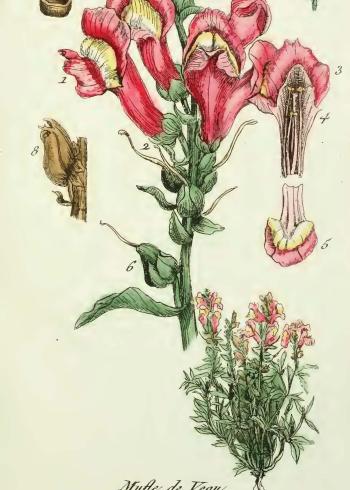 Lam.VTax2602.Lam2