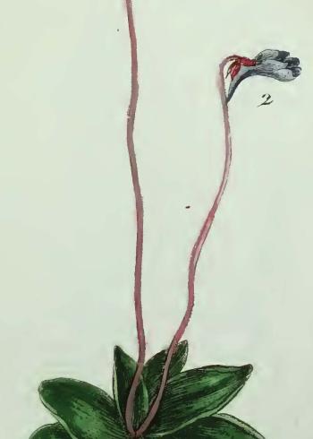 Lam.VTax2761.Lam6