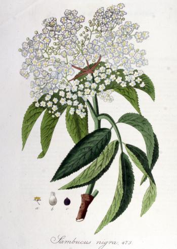 Lam.VTax2862.Lam10