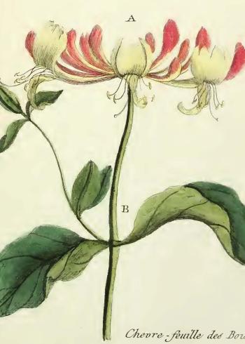 Lam.VTax2869.Lam4