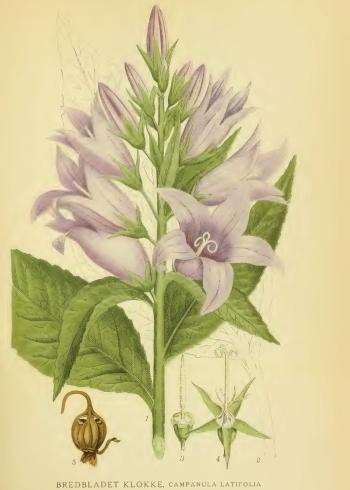 Lam.VTax2945.Lam3