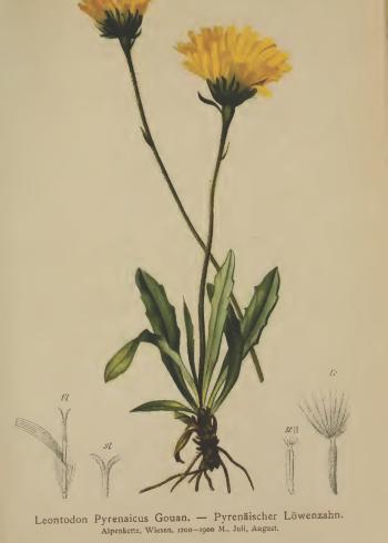 Lam.VTax3315.Lam2