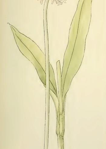 Lam.VTax3563.Lam3