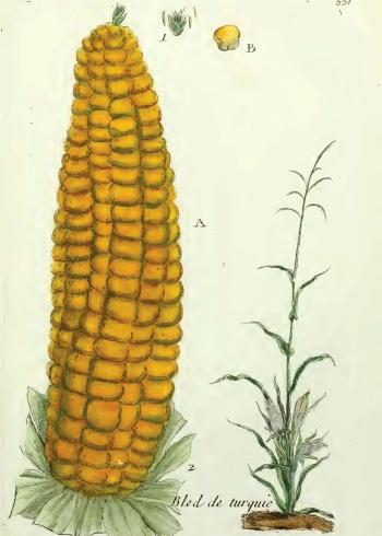 Lam.VTax3826.Lam2