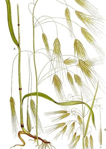 Lam.VTax3957.Lam2
