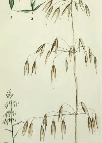 Lam.VTax4010.Lam1