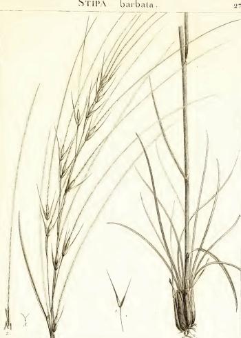Lam.VTax4129.Lam1