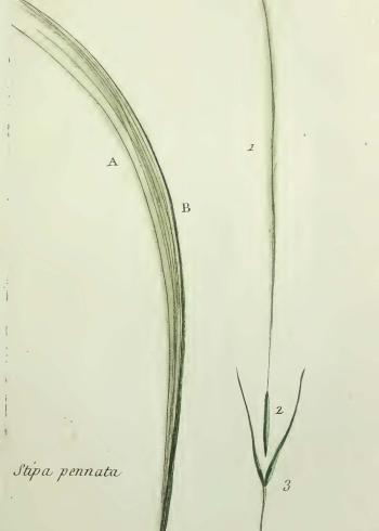 Lam.VTax4130.Lam2