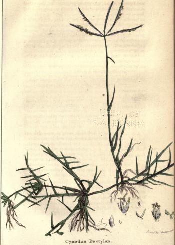 Lam.VTax4165.Lam3