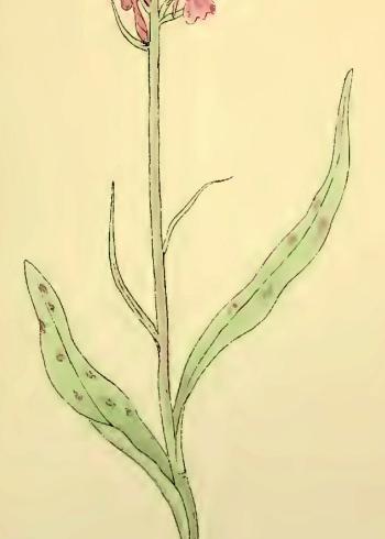 Lam.VTax4274.Lam6