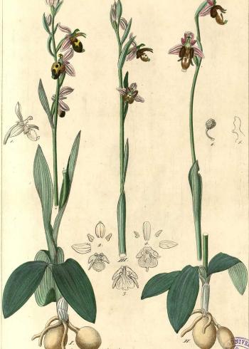 Lam.VTax4307.Lam3