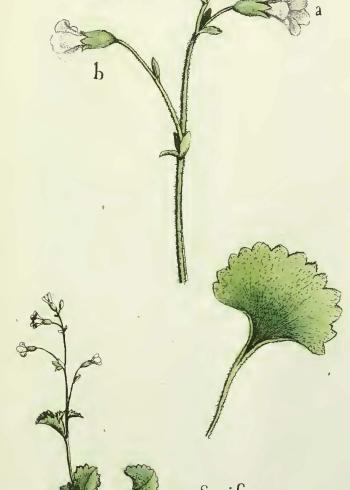 Lam.VTax4690.Lam3
