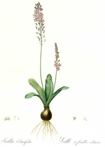 Lam.VTax4702.Lam2