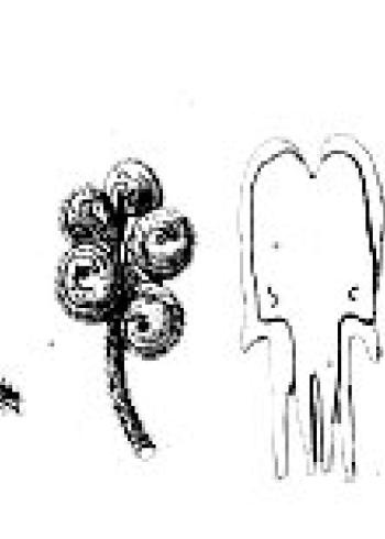 Lam.VTax744.Lam2