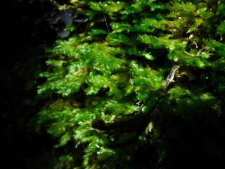 BTax250.Ex2.Img2.jpg-RefImg