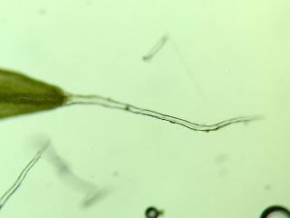 BTax308.Ex1.Img5.jpg-RefImg