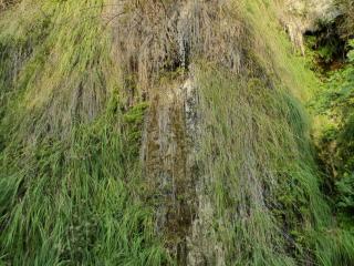 BTax354.Ex1.Img8.jpg-RefImg