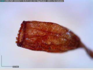 BTax308.Ex3_.Img4_.jpg