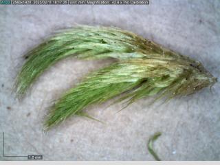 BTax340.Ex1_.Img1_.jpg