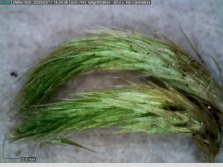 BTax340.Ex1_.Img2_.jpg