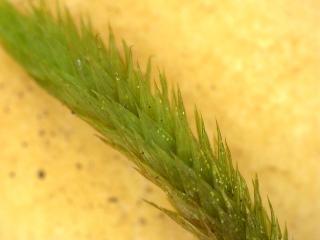 BTax395.Ex1_.Img4_.jpg