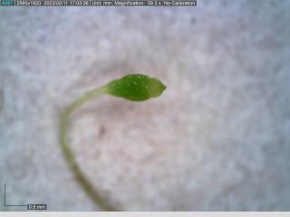 BTax546.Ex1_.Img4_.jpg