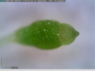 BTax546.Ex1_.Img5_.jpg