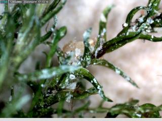 BTax546.Ex1_.Img8_.jpg