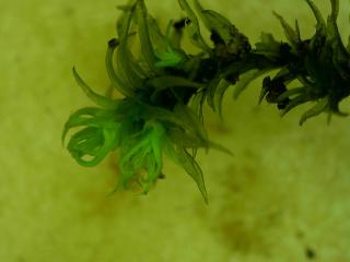 BTax791.Ex4_.Img3_.jpg