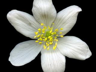 Img.VTax188.ExN.Img9