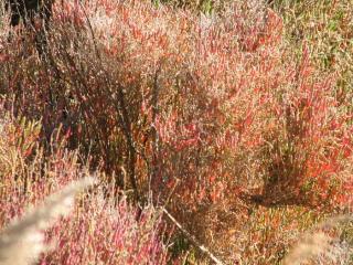 Img.VTax2112.ExN.Img2