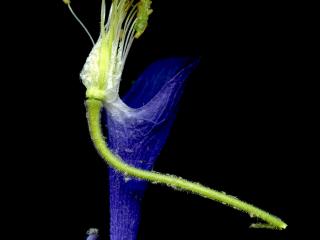 Img.VTax215.ExN.Img19