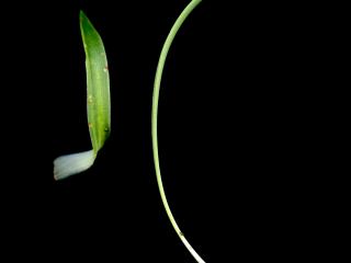 Img.VTax2224.ExN.Img11