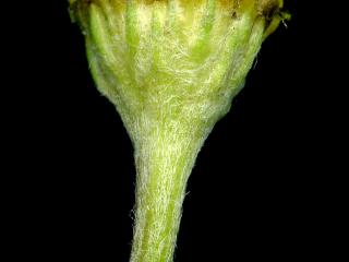 Img.VTax3095.ExN.Img3