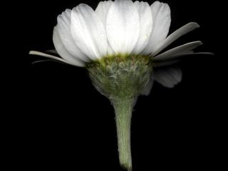 Img.VTax3095.ExN.Img9