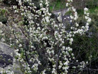 Img.VTax509.ExN.Img14