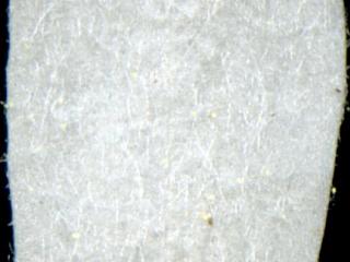 Img.VTax509.ExN.Img19
