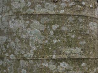 Img.VTax1696.ExN.Img18
