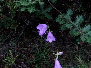 Img.VTax2946.ExN.Img21