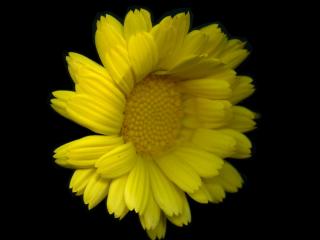 Img.VTax3188.ExN.Img16