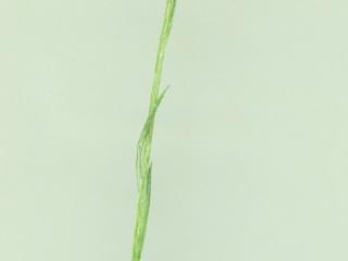 Img.VTax3262.ExN.Img14