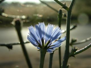 Img.VTax3295.ExN.Img15
