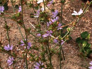 Img.VTax3295.ExN.Img6