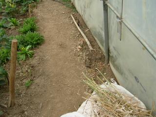 Img.VTax3296.ExN.Img4
