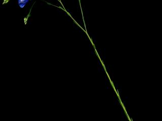 Img.VTax1405.ExN.Img10