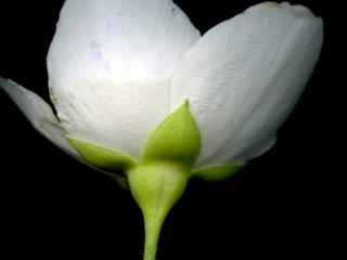 Img.VTax1493.ExN.Img5