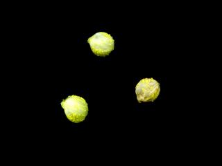 Img.VTax1705.ExN.Img13