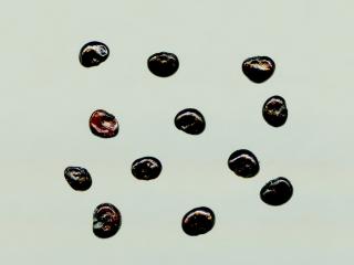 Img.VTax2026.ExN.Img2
